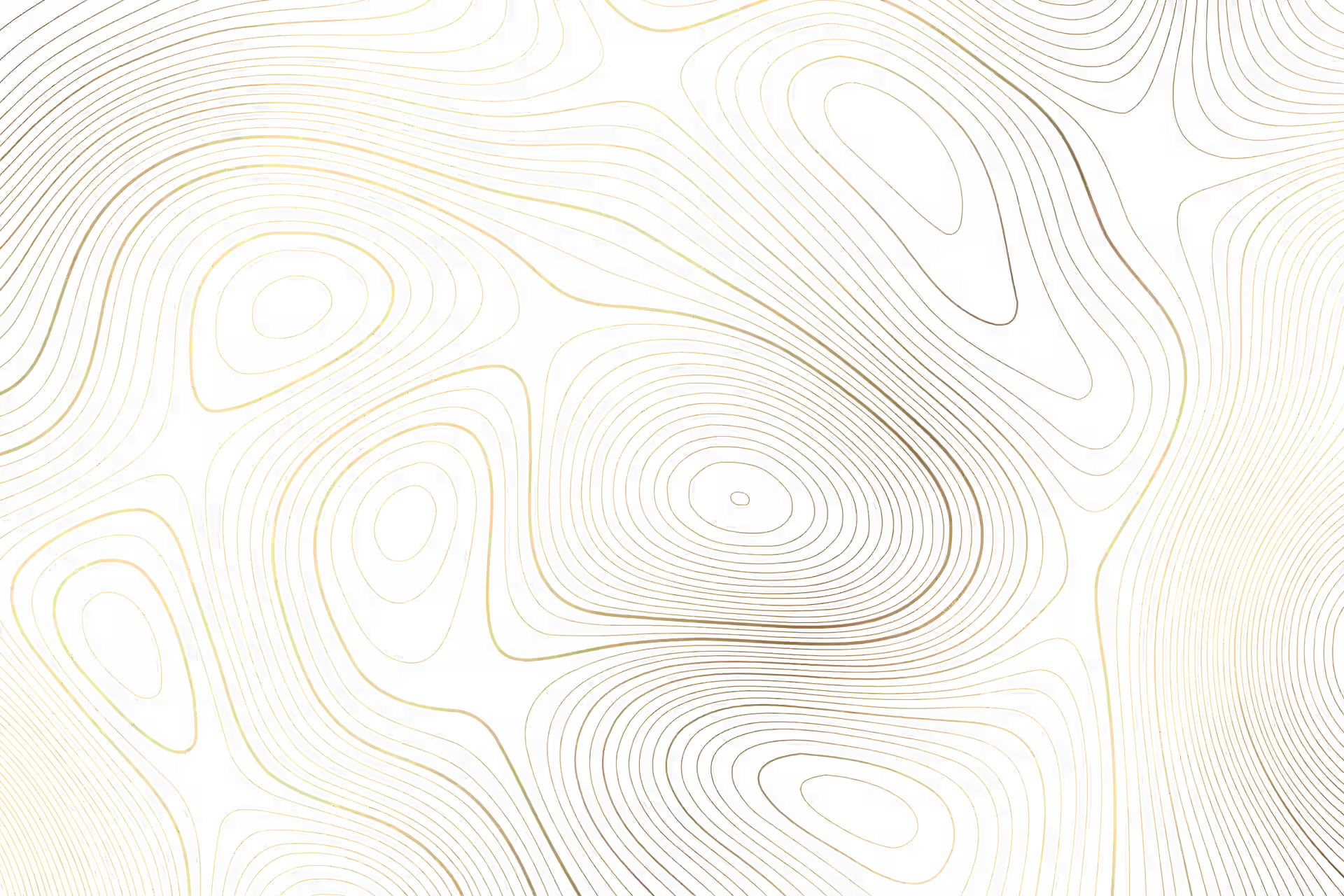 decorative image