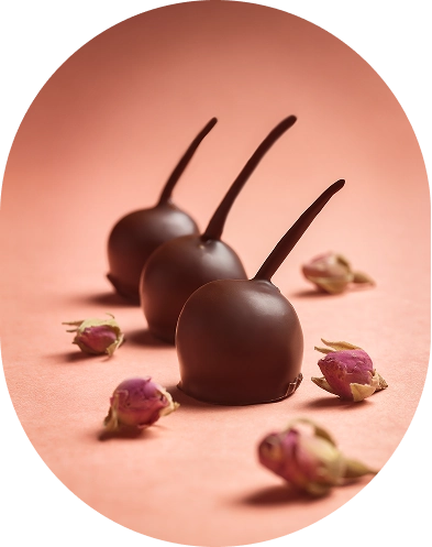M chocolate showcase product